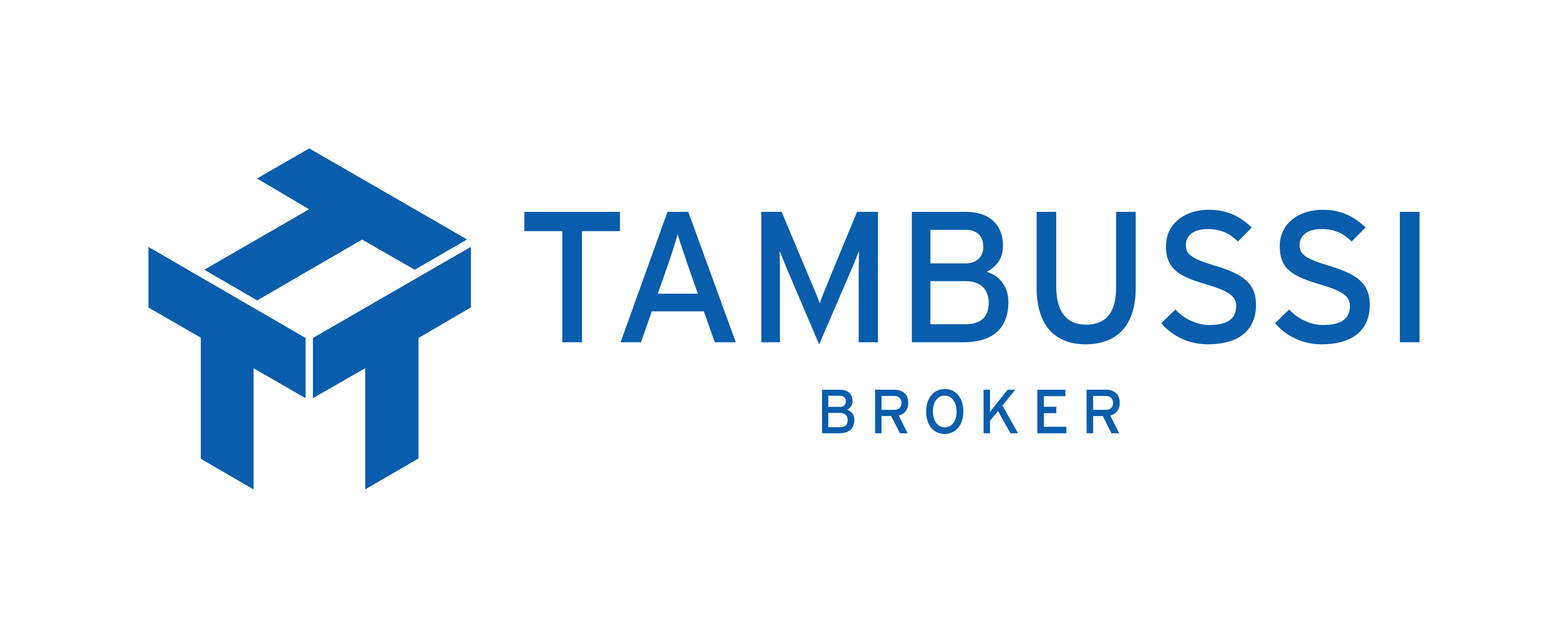 Logo Tambussi